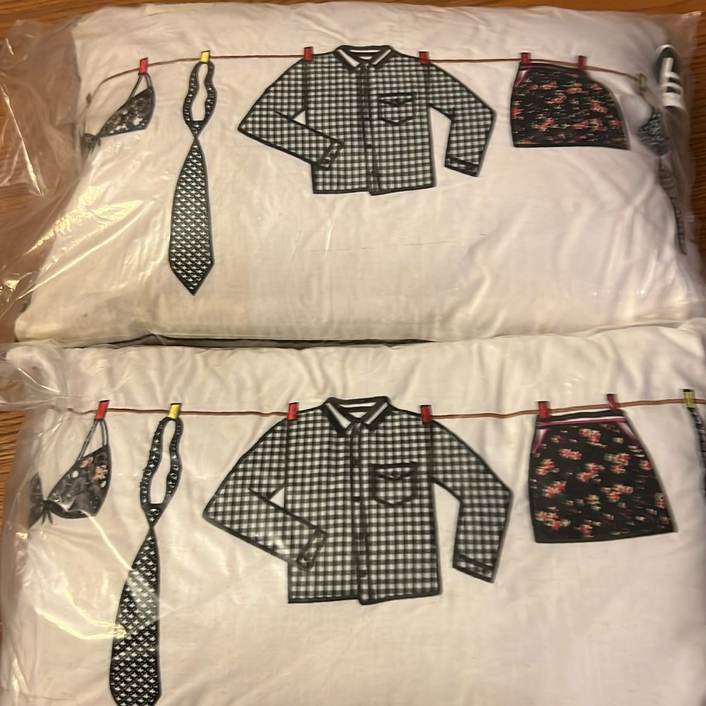 A NEW PAIR OF CUTE LAUNDRY ROOM PILLOWS !